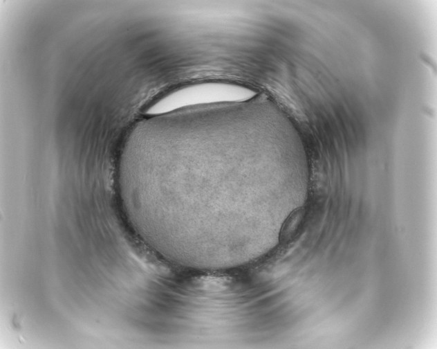 X0000093250255200710241320