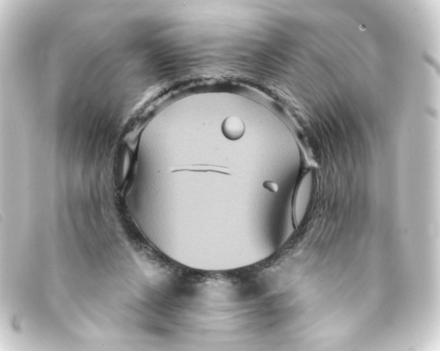 X0000093250256200710241320