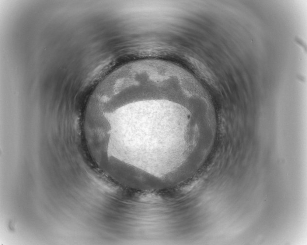 X0000093250258200710241320
