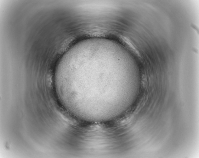 X0000093250259200710241320