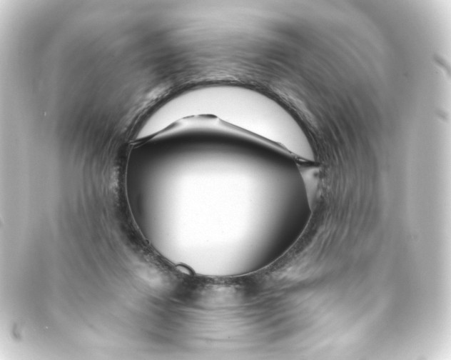X0000093250260200710241320
