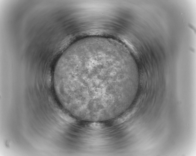 X0000093250261200710241320