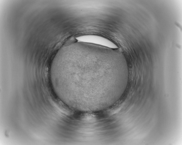 X0000093250263200710241320
