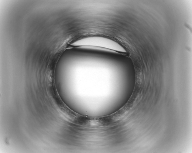 X0000093250264200710241320