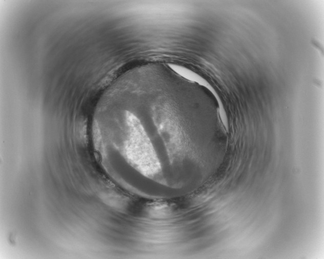 X0000093250267200710241320
