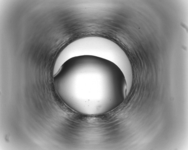 X0000093250268200710241320
