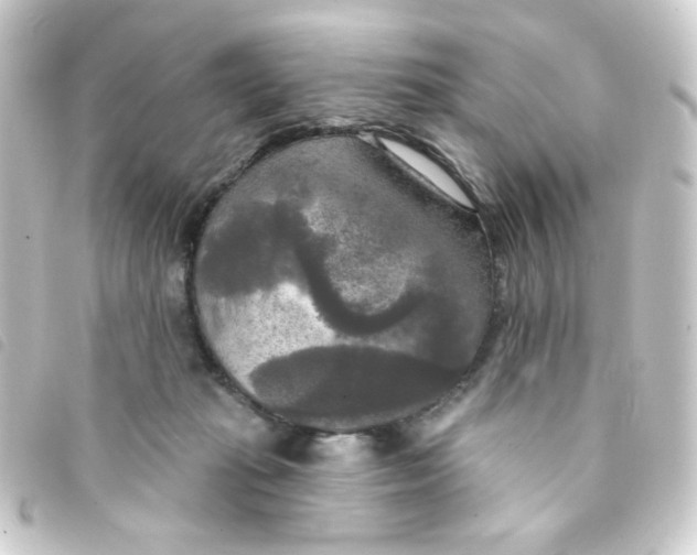X0000093250269200710241320