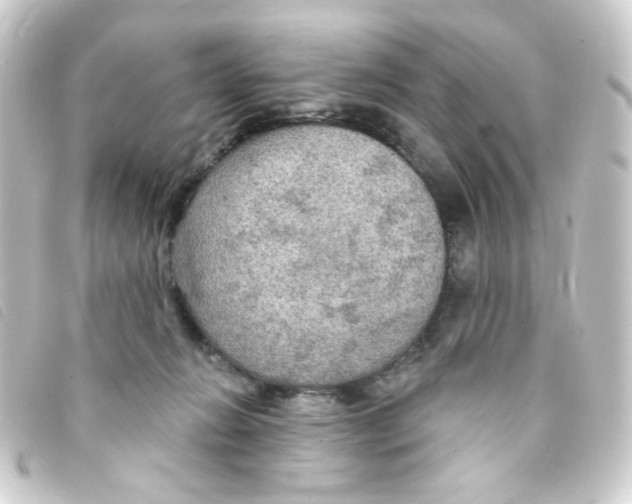 X0000093250270200710241320