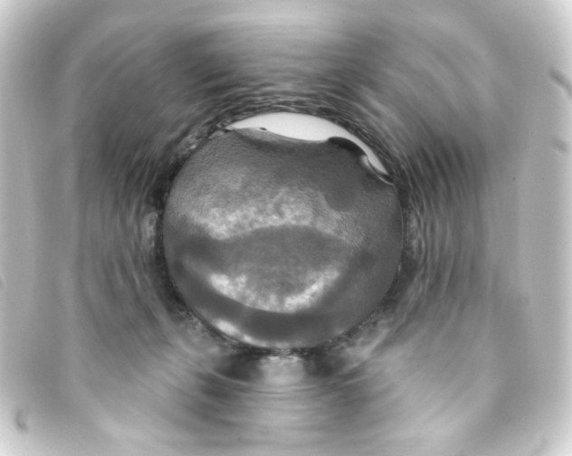 X0000093250271200710241320