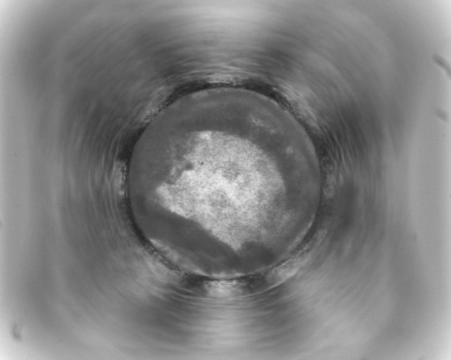 X0000093250273200710241320