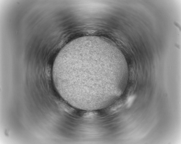 X0000093250274200710241320