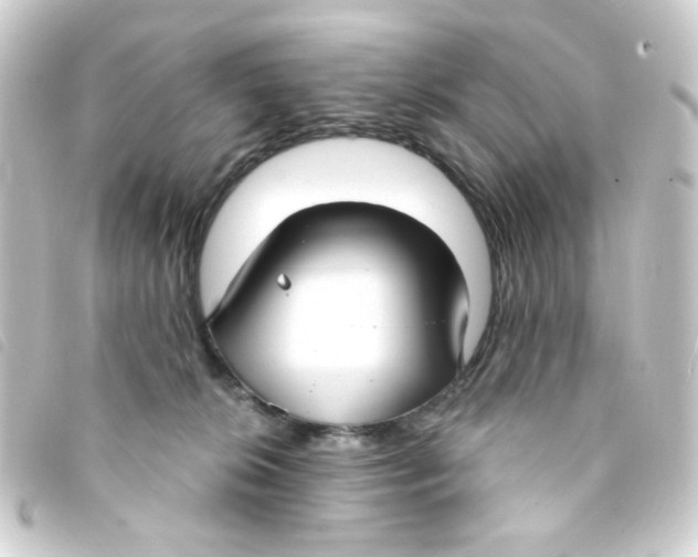 X0000093250276200710241320