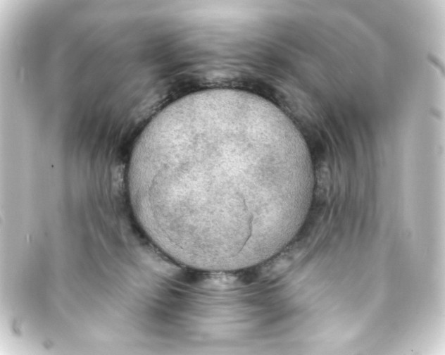 X0000093250278200710241320