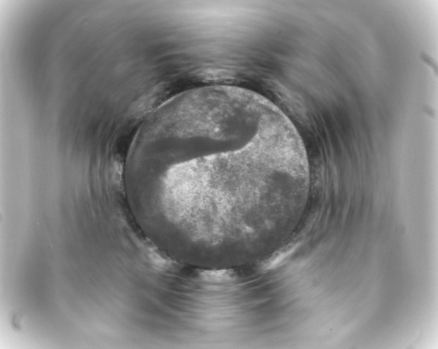 X0000093250281200710241320