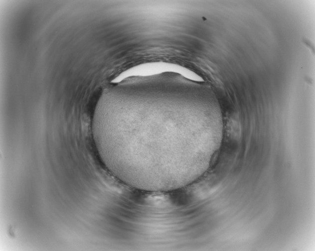 X0000093250283200710241320