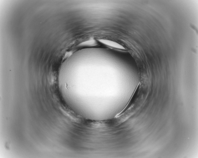 X0000093250284200710241320