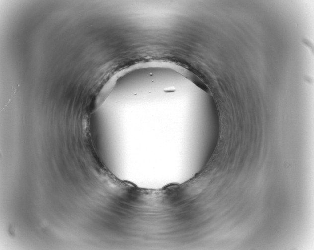 X0000093250288200710241320