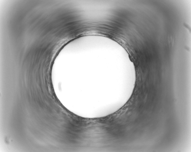 X0000093250289200710241319