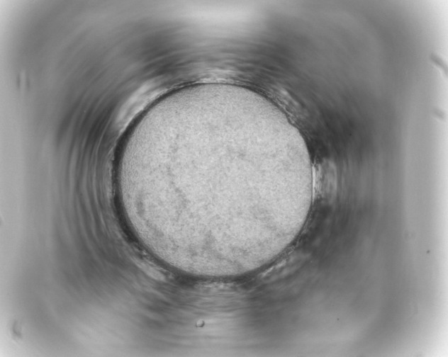 X0000093250291200710241319