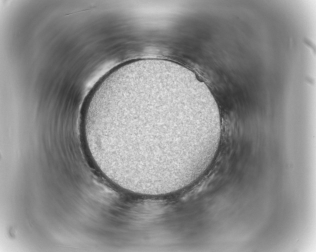 X0000093250292200710241319