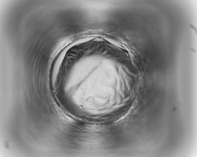 X0000093250293200710241319