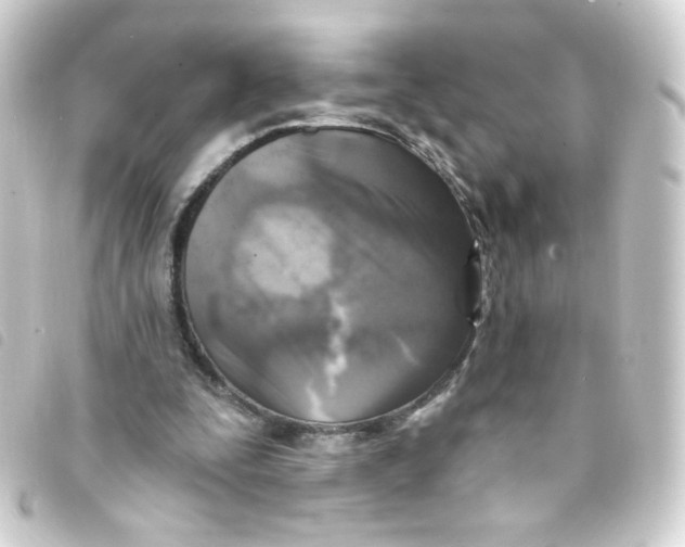 X0000093250295200710241319