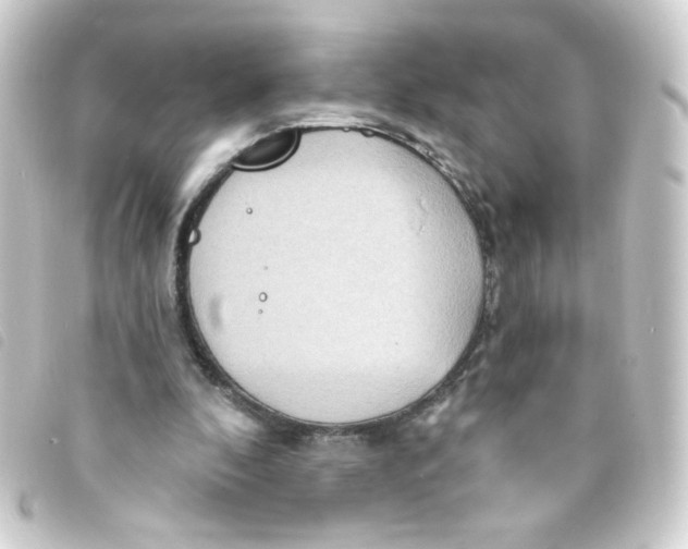 X0000093250296200710241319