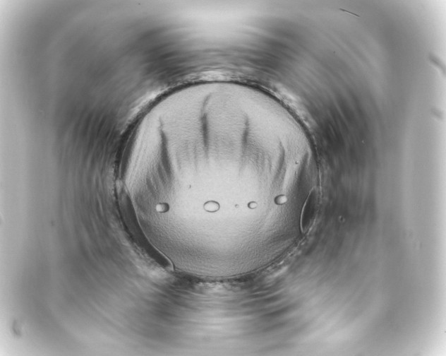 X0000093250297200710241319