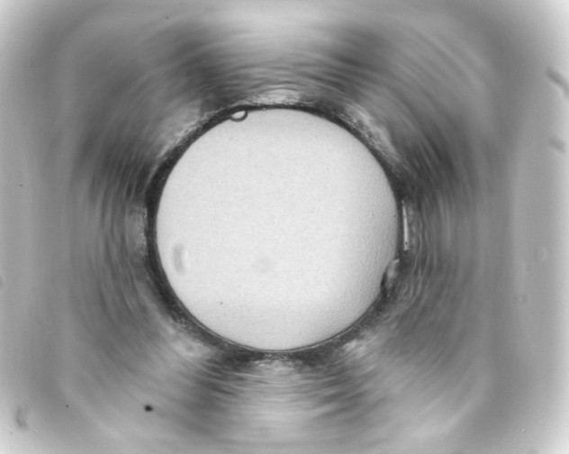 X0000093250300200710241319