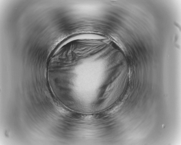 X0000093250301200710241319