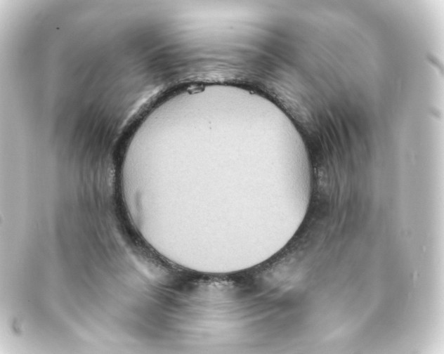 X0000093250304200710241319