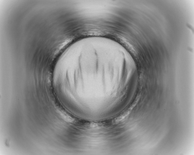 X0000093250305200710241319