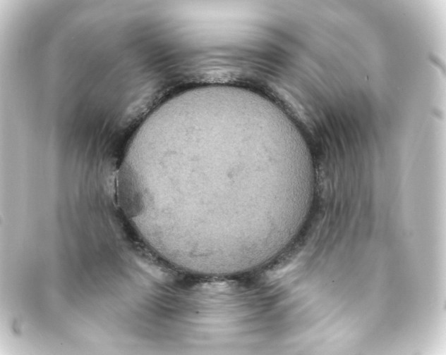 X0000093250307200710241319