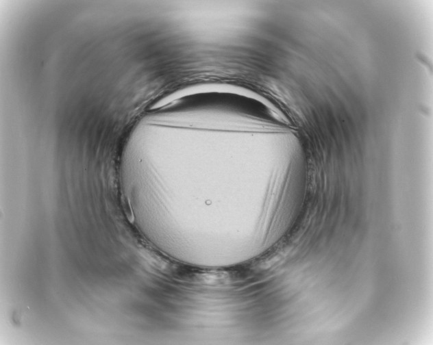 X0000093250317200710241319