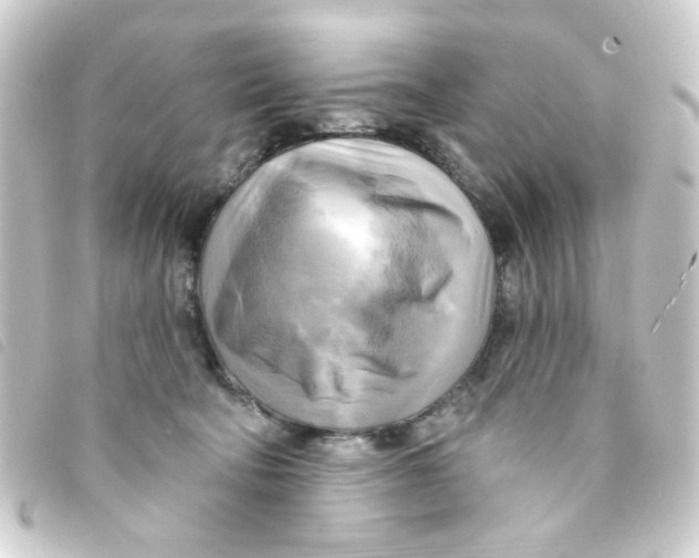 X0000093250322200710241319