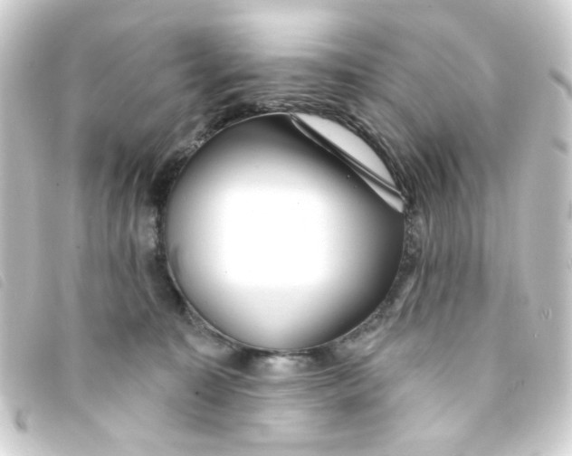 X0000093250323200710241319