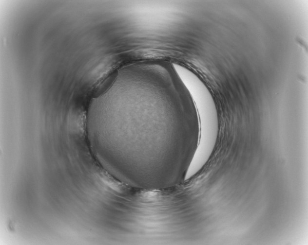 X0000093250325200710241319