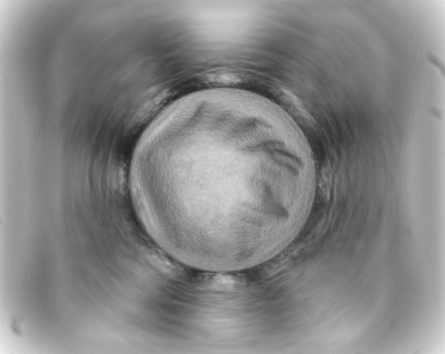 X0000093250330200710241319