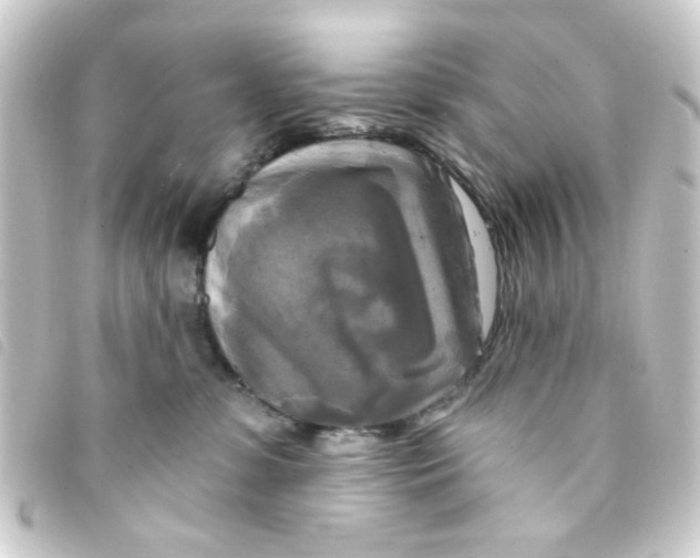 X0000093250331200710241319
