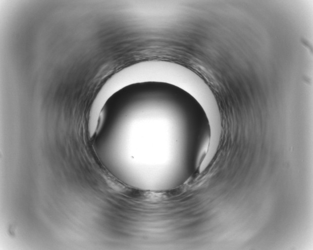 X0000093250333200710241319