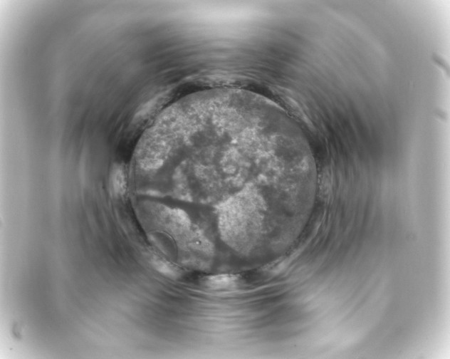 X0000093250335200710241319