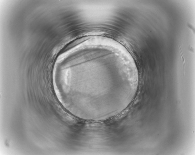 X0000093250337200710241318