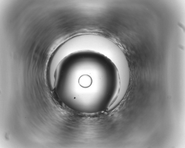 X0000093250340200710241318