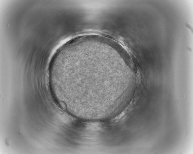 X0000093250342200710241318