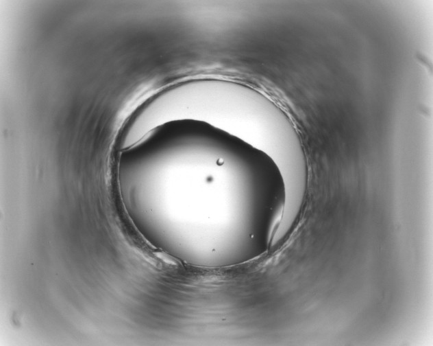 X0000093250344200710241318