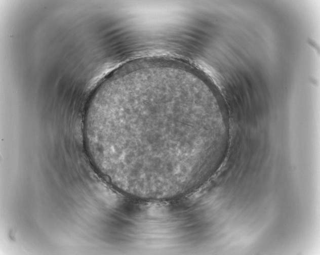 X0000093250345200710241318
