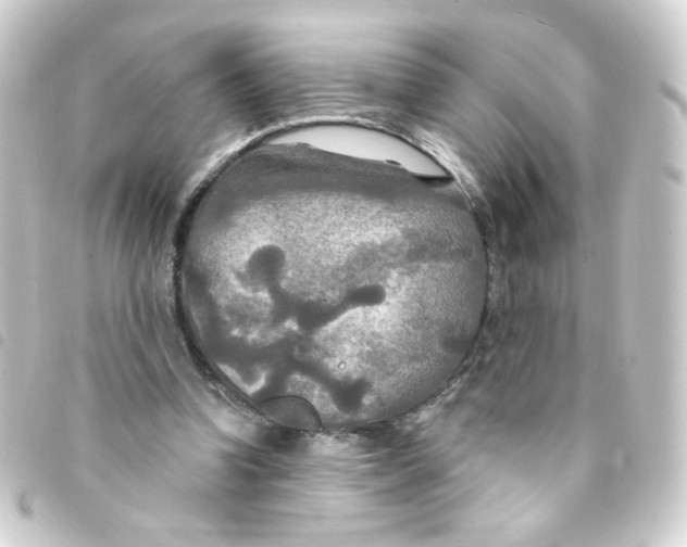 X0000093250346200710241318