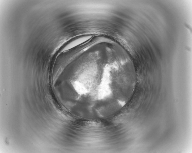 X0000093250347200710241318