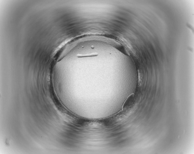 X0000093250348200710241318