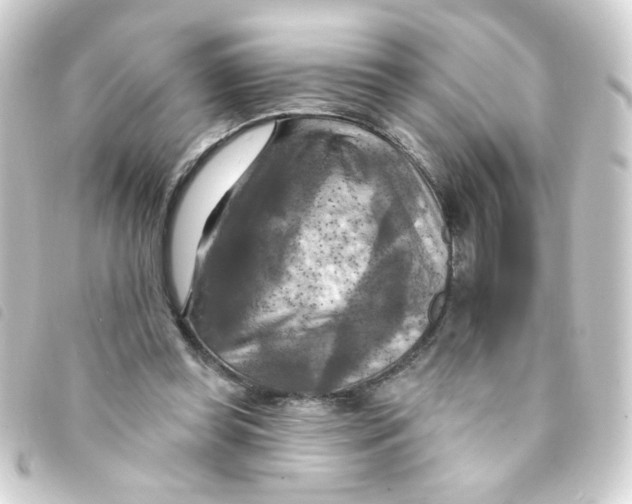 X0000093250349200710241318
